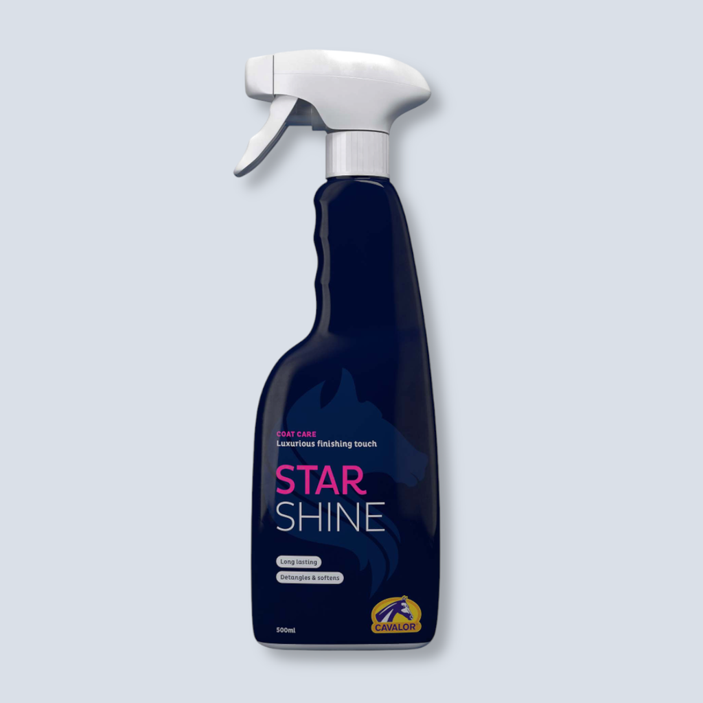 Star Shine 