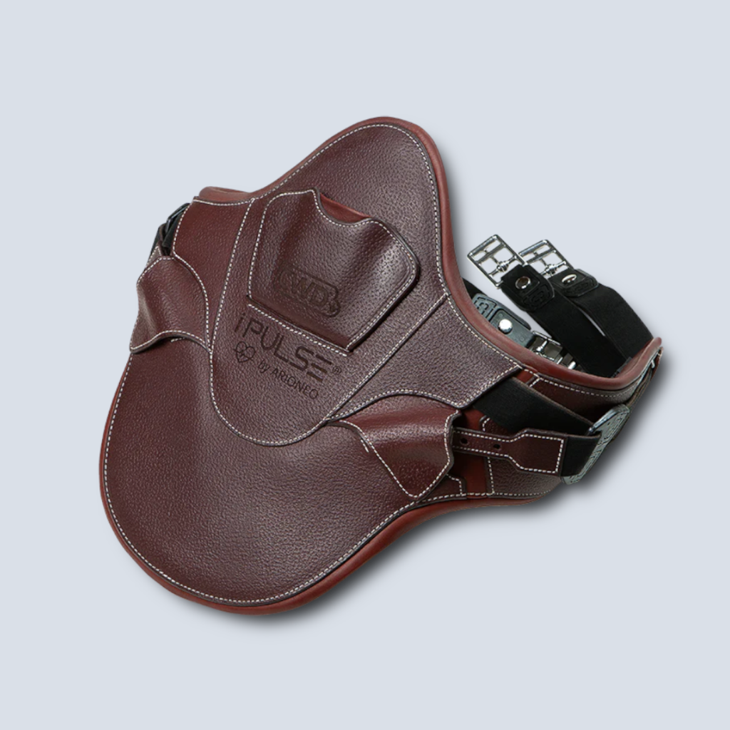  I Pulse CWD Jumping Girth