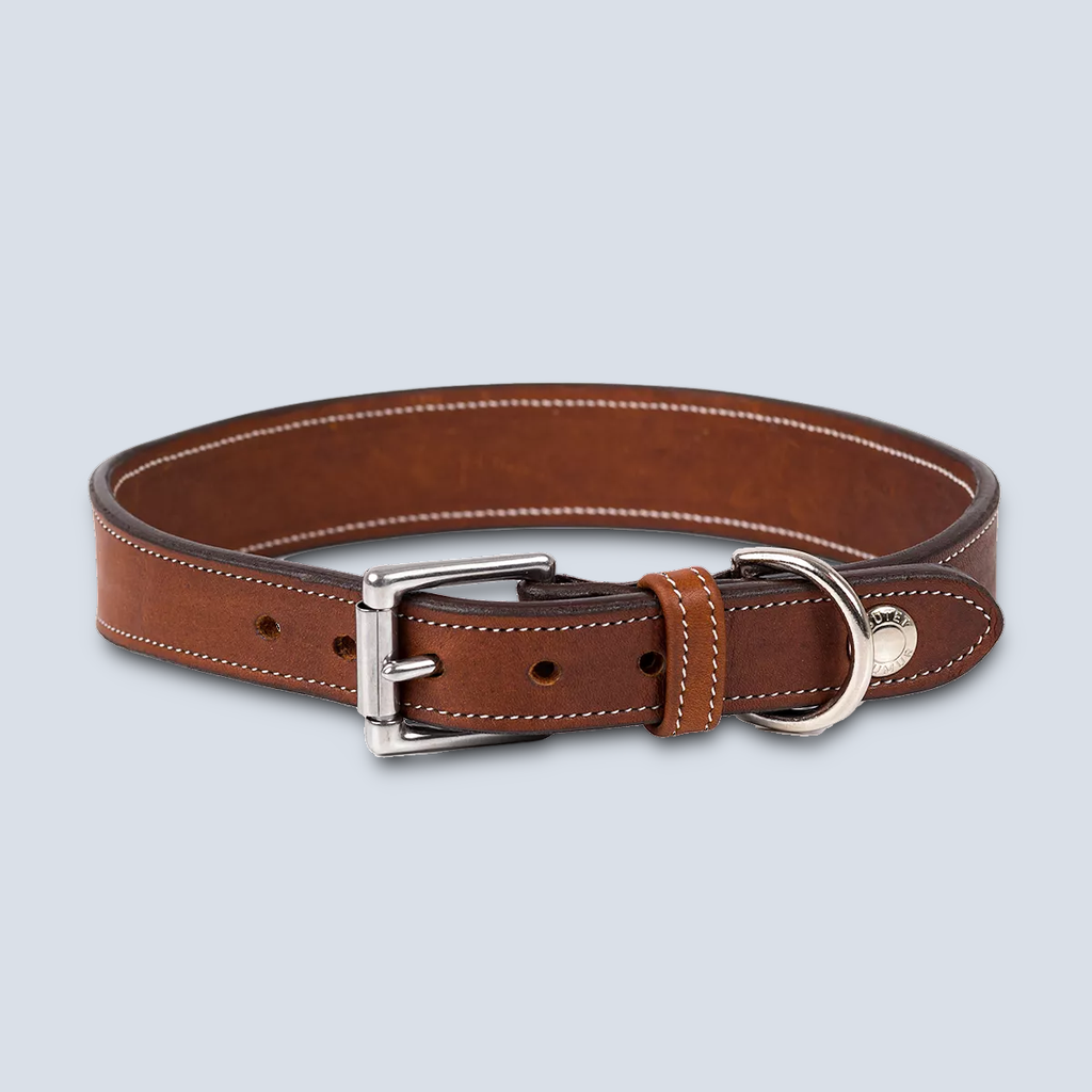 Collier Pour Chien Cuir Butet