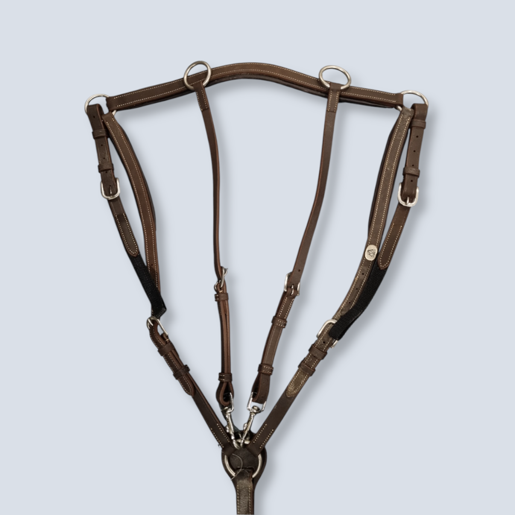 Breasplate S.S Buckles Fixed Bridge Limit