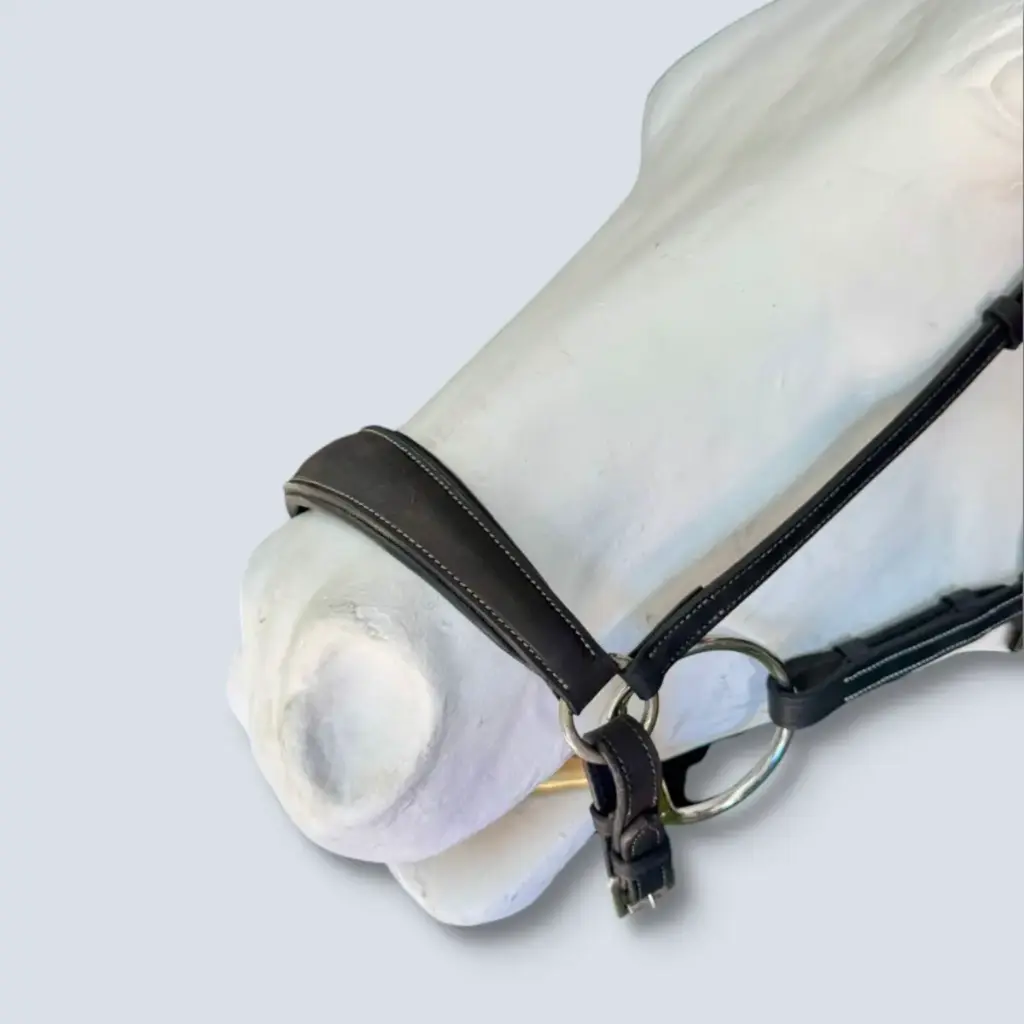 Drop Noseband S.S Buckles Limit