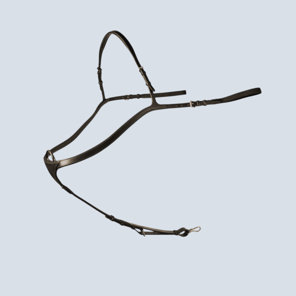 Breastplate Silver Mat Buckles 