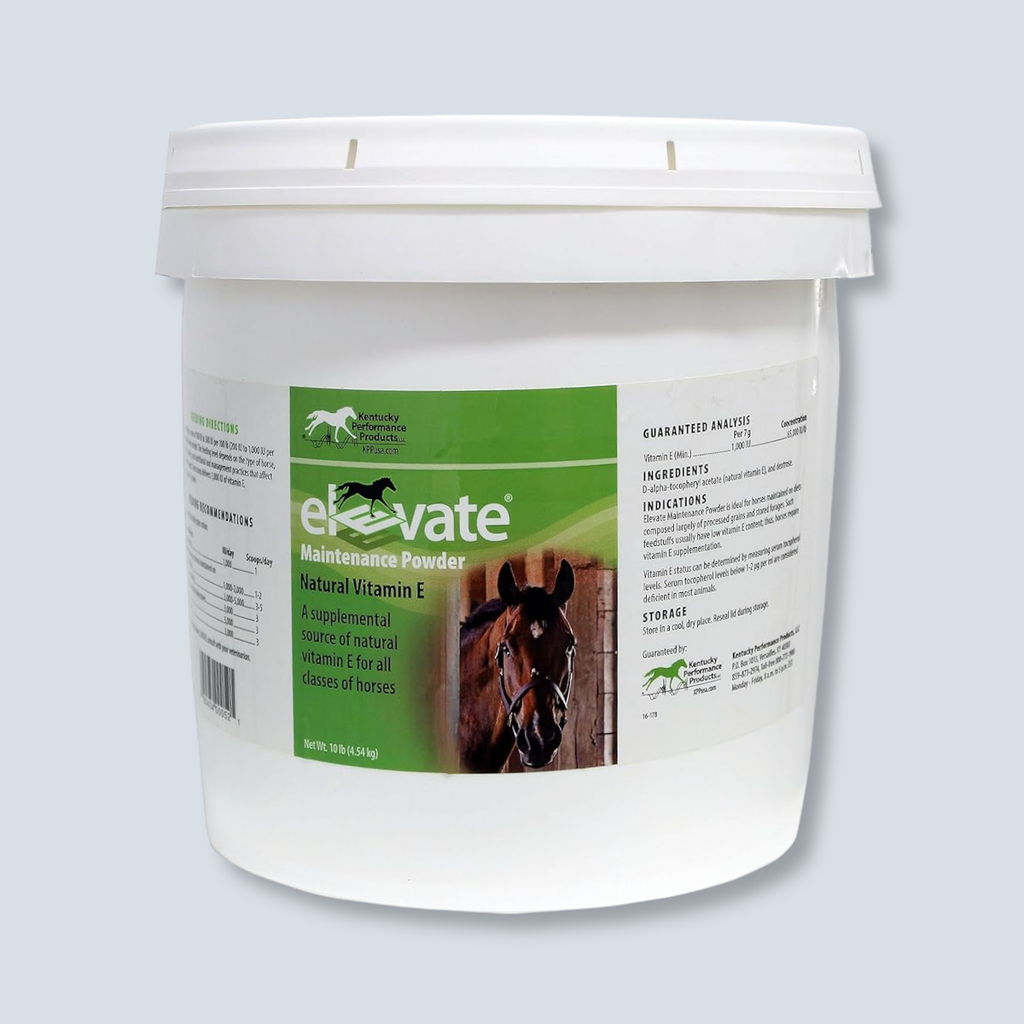 Elevate Maintenance Powder