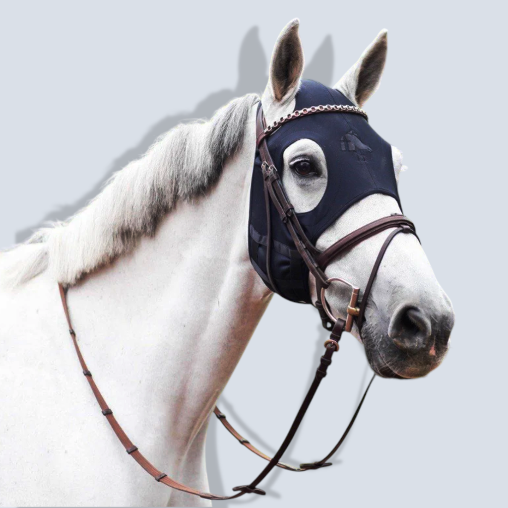 Liquid Titanium Mask 