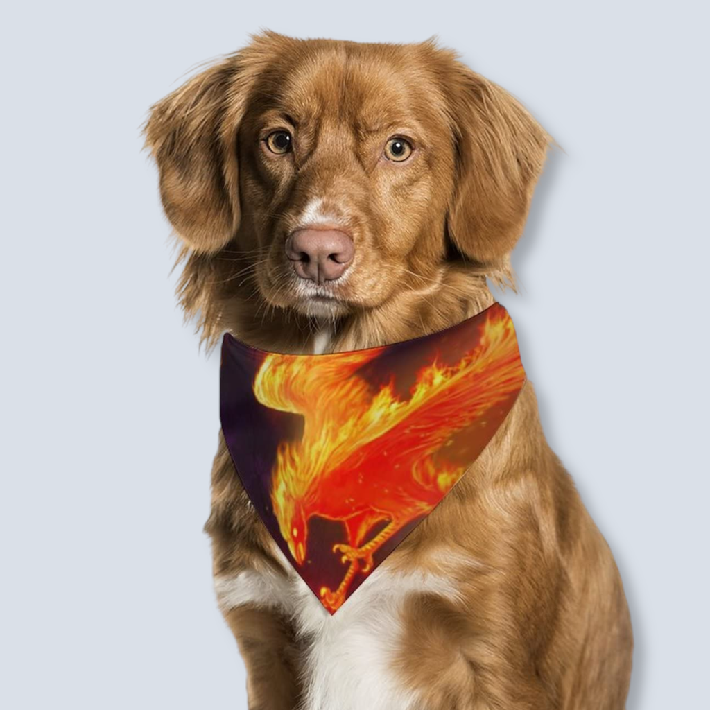 Phoenix Dog Bandana assorted