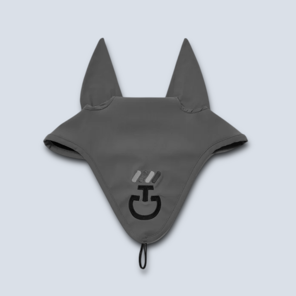 CT Dash Earnet