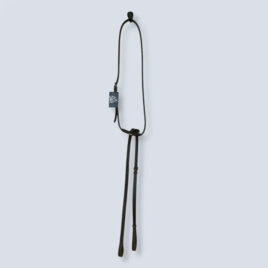 LIMIT: STANDING MARTINGALE