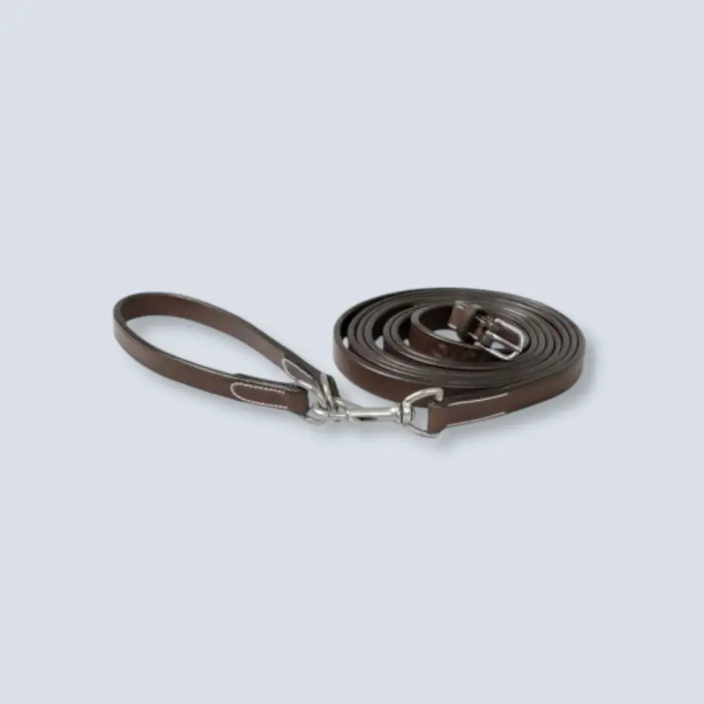LIMIT: DRAW REINS WITH CORD