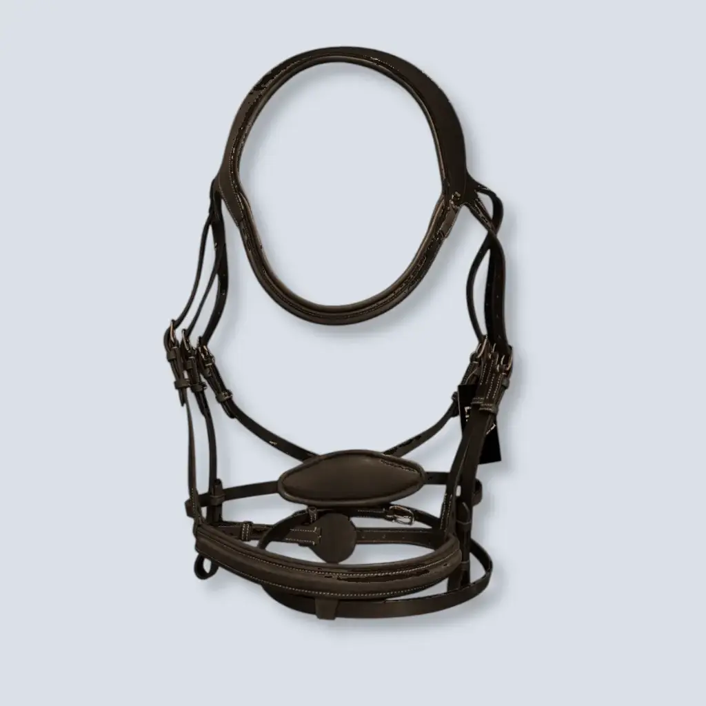 LIMIT: DIFFERENCE BRIDLE 