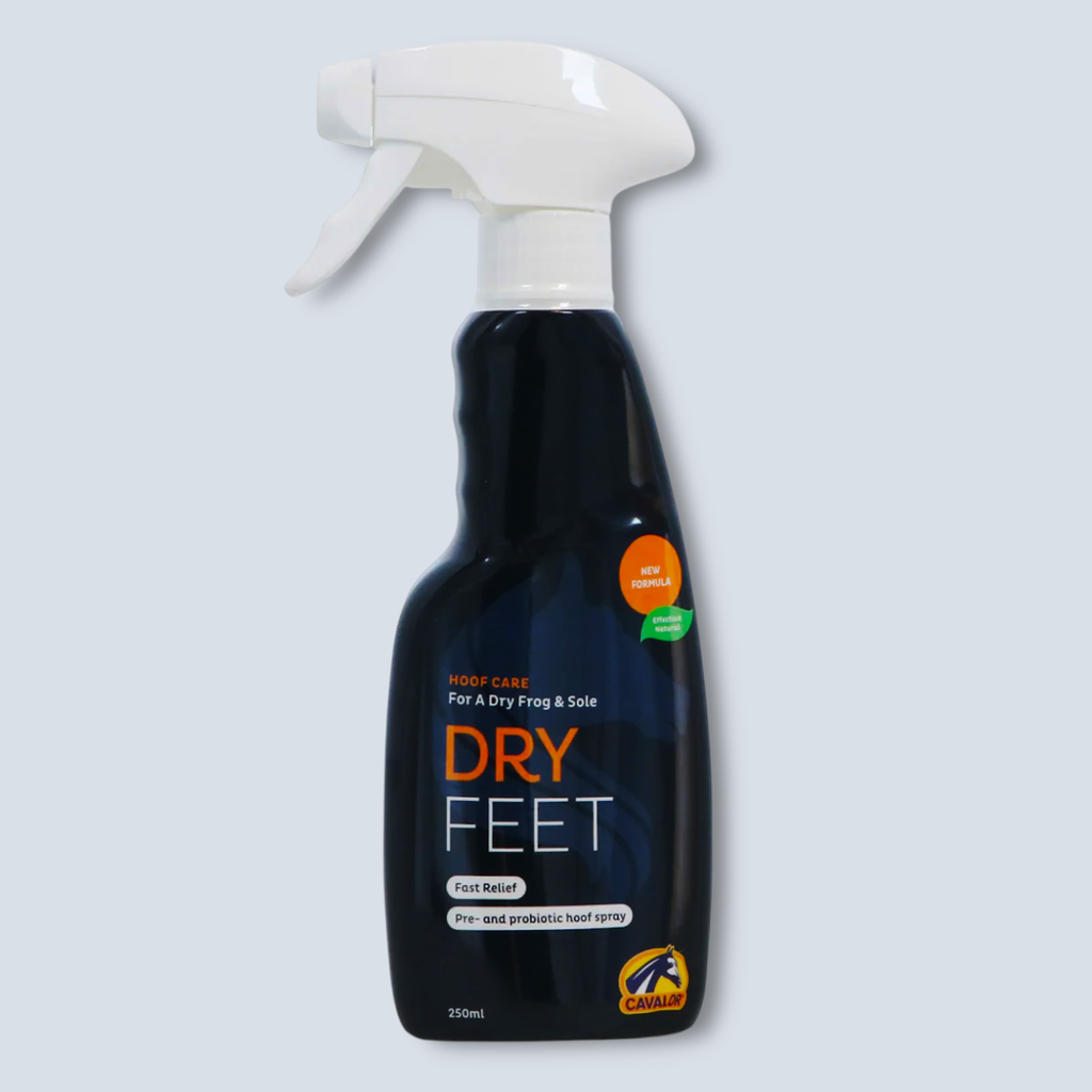 Dry feet 