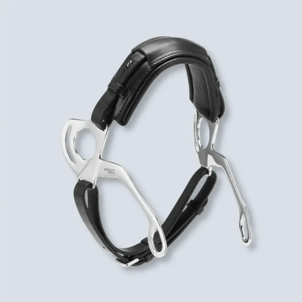 Hackamore Leather Stainless Steel