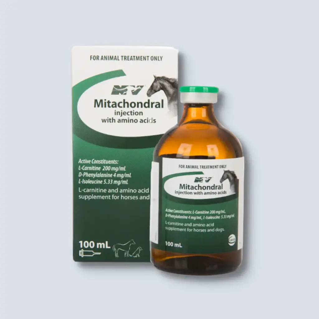 Mitachondral 