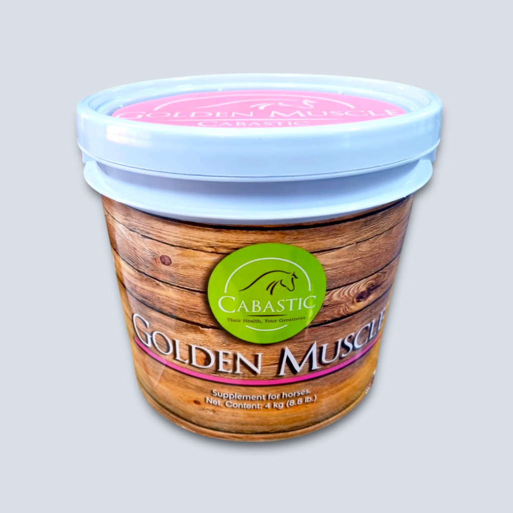 Golden Muscle Cubeta 