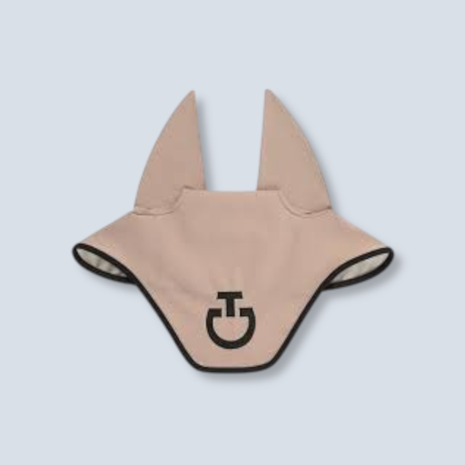 CT Square Earnet 
