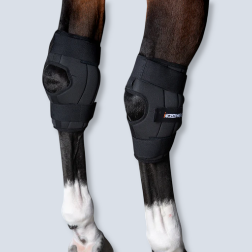 [Incrediwear:Circulation Hock Boot M left] Incrediwear:Circulation Hock Boot M left