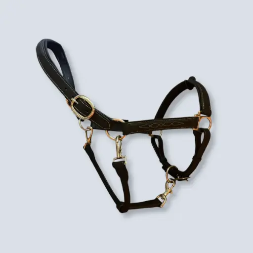 LIMIT: HALTER NICKLE BUCKLES