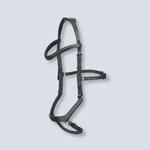 LIMIT: MICHLEM BRIDLE 
