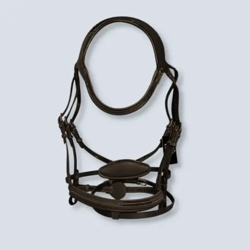 LIMIT: DIFFERENCE BRIDLE 