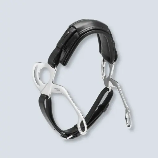 Hackamore Leather Stainless Steel