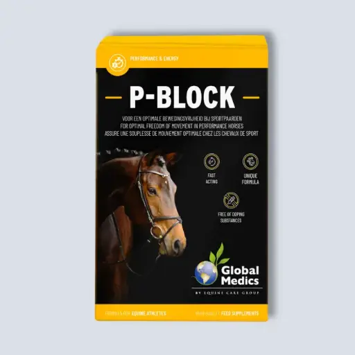 [P-Block Powder] P-Block Powder 