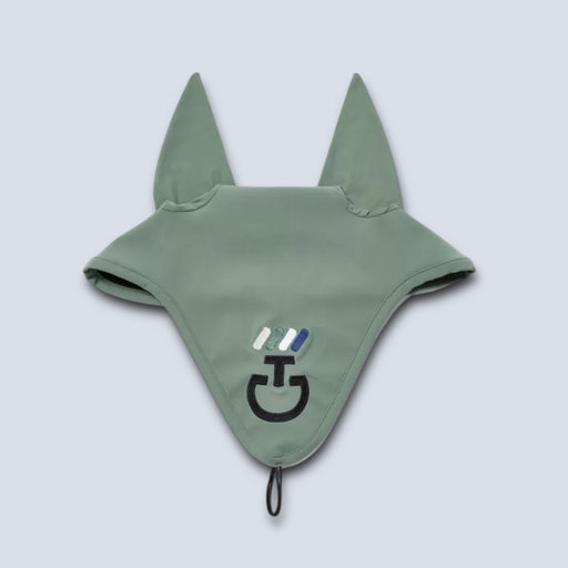 CT Dash Earnet W/Hang loop