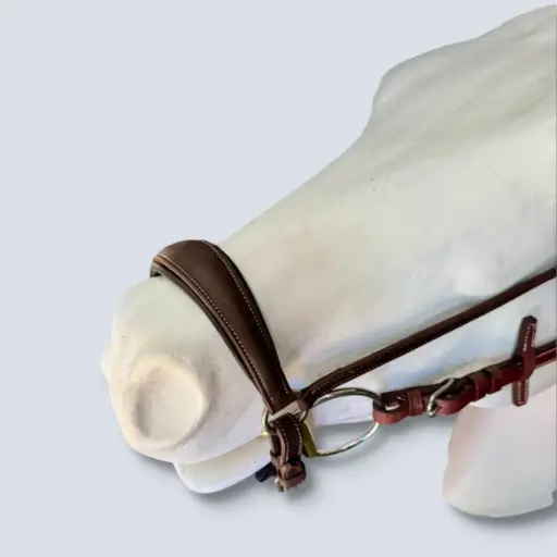 Drop Noseband S.S Buckles Limit