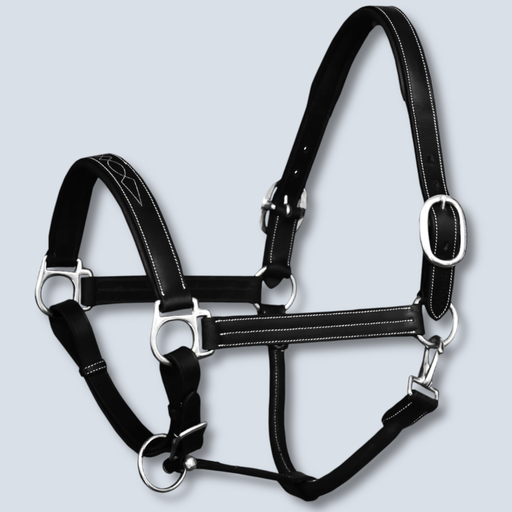 [MX Halter Nickle Buckles] Halter Nickle Buckles 