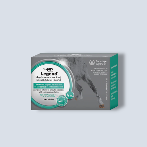 [MX Legend 6 dosis] Legend 6 dosis 