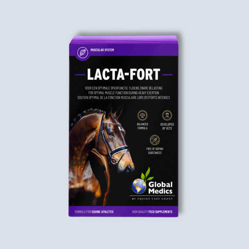 [MX Lacta Fort] Lacta Fort