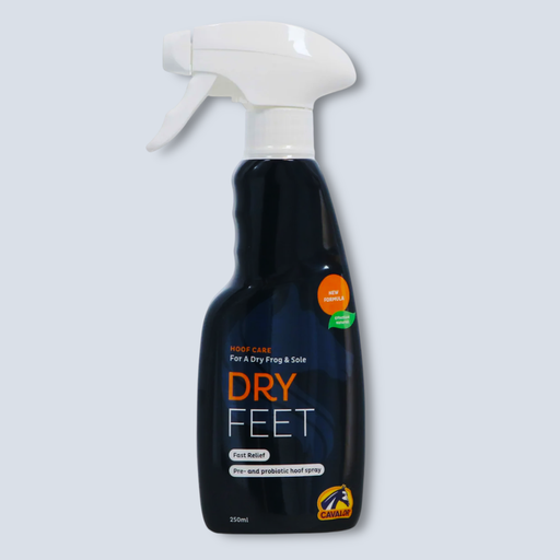[MX Dry feet] Dry feet 