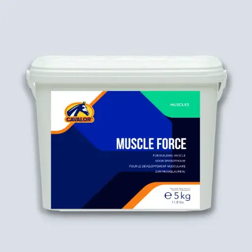[MX Muscle Force] Muscle Force