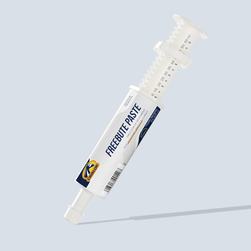 [MX Freebute Pasta] Freebute Pasta