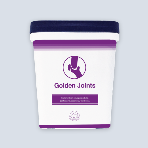 [MX Golden Joints Cubeta] Golden Joints Cubeta