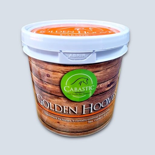 [MX Golden Hooves Cubeta] Golden Hooves Cubeta