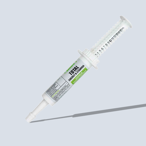 [MX Total Energy & Stamina] Total Energy & Stamina