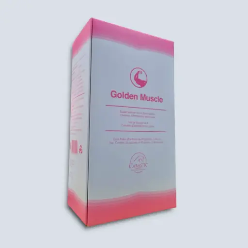 [MX Golden Muscle Pack] Golden Muscle Pack 