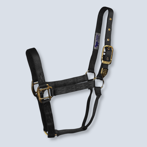 [MX Hamilton Halter] Hamilton Halter