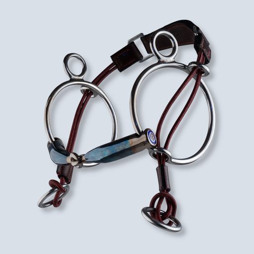 [MX Sweet Iron Curbgag Locked] Sweet Iron Curbgag Locked 