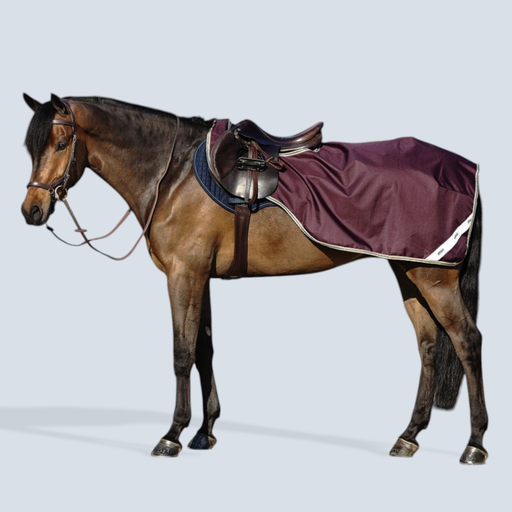 [MX Amigo Ripstop Competition Sheet] Amigo Ripstop Competition 