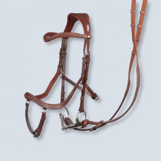 [MX BR17F Bridon Et Renes The One Rolf Goran Bengtsson] BR17F